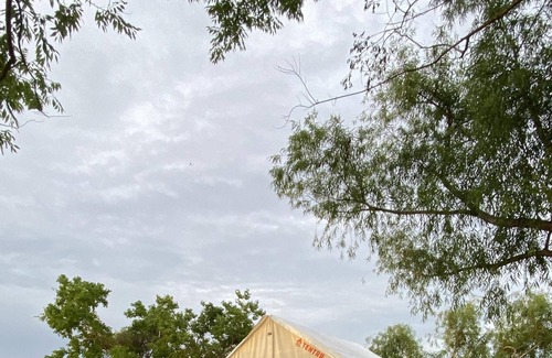 Mandeville RV Rental | Tentrr State Park Site - Louisiana Fontainebleau State Park - Beachside K - Sing