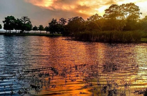 Mandeville RV Rental | Tentrr State Park Site - Louisiana Fontainebleau State Park - Pond View D - Sing
