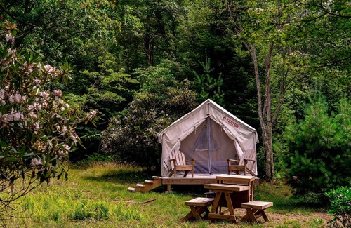 Davis RV Rental | Tentrr State Park Site - WV Blackwater Falls State Park - Site D - Single Camp "