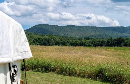 Copake Falls RV Rental | Tentrr State Park Site - NY Taconic State Park: Orphan Rd Site A