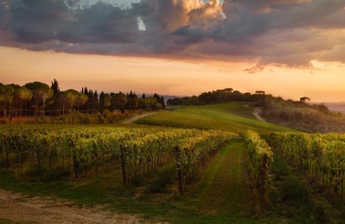 Montelupo Fiorentino House | Tenuta San Vito In Fior Di Selva