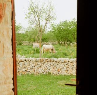 Ruvo di Puglia House | Tenuta Tedone Consolini