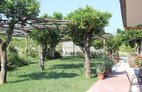 Pagani Bed & Breakfast | Terra e Cielo
