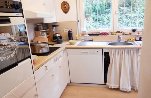 Dietikon District Apartment | Terrace Apt with 2 cats and Free Parking / Special Price !!!