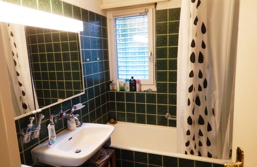 Dietikon District Apartment | Terrace Apt with 2 cats and Free Parking / Special Price !!!