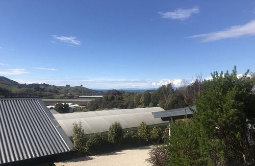 Riwaka Cottage | Terraced Chalets