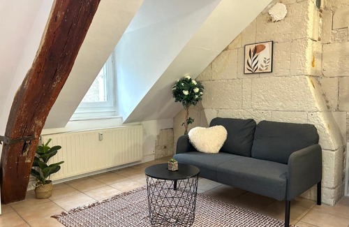 Tours Apartment | Terracotta - Quai de la Loire - Cozy