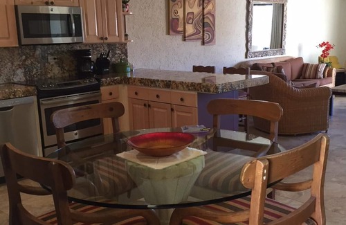 Marina Condo | Terrasol 2BR/2BA Beach Condo - Best Price, Best Location & Ocean beachfront