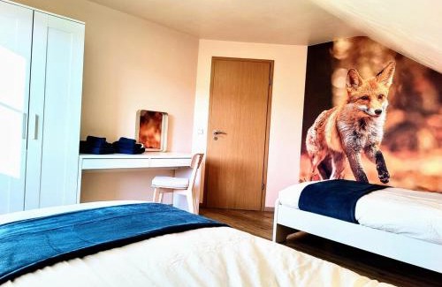 Neufchateau Apartment | Terre - Le - Sart