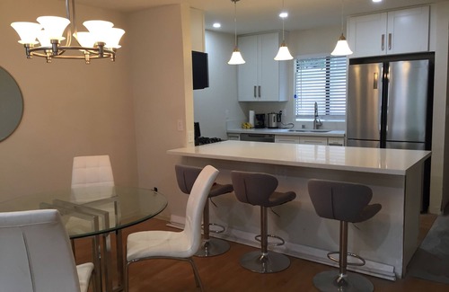 Downtown Apartment | Terrific Apartment for long-term stay professionals - our most popular unit.