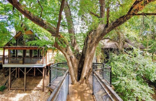 New Braunfels Cabin | TH 4 - Whippoorwill Haus