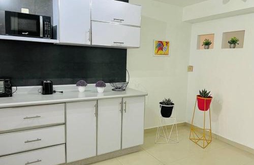 Roma Sur Apartment | TH Lindo departamento en calle Tehuantepec Roma