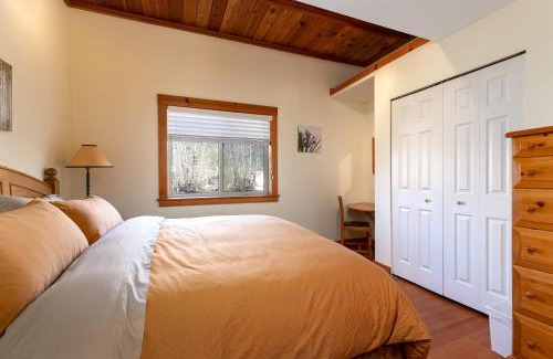 Pemberton Apartment | Thanksgiving Special Pemberton Valley 1 bedroom suite king size bed WIFI cable TV gorgeous views free parking walk to Village