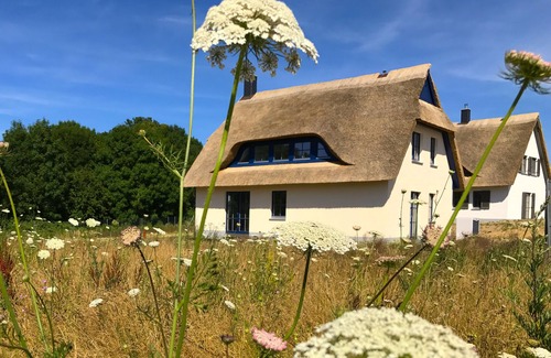 Gross Schwansee House | Thatched-roof house Coastline with sauna & fireplace - the perfect break from everyday life!