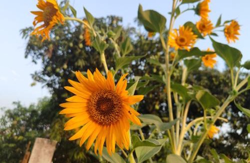 Kaladhungi House | The Aaram Homestay