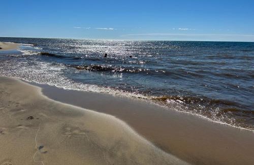 Manistee House | The Amazing Escape
