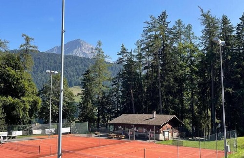 Barboleusaz Apartment | The apartment is located below the road to Villars halfway to the village of Gryon and the Barboleus