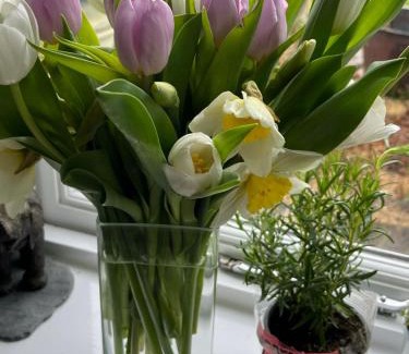 Oxford Bed & Breakfast | The Artist's house