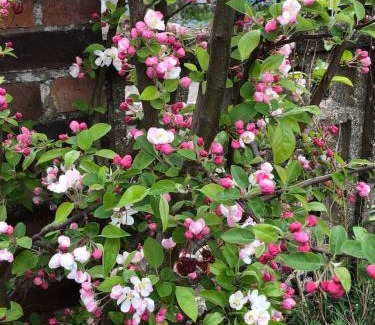 Oxford Bed & Breakfast | The Artist's house