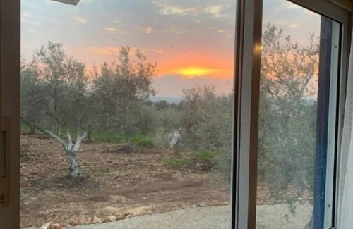 Mateh Asher House | The Artist's Orchard