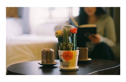 Truc Bach Hotel | The Autumn Homestay-LAKE VIEW room, with balcony, next to the WEST LAKE