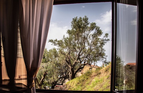 Marina di Pisciotta House | The Ax, among the olive trees but a few steps from the sea