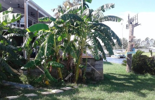Pretty Bayou House | The Banana, A Peaceful Getaway