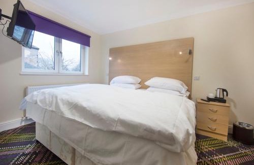 Hamilton Hotel | The Bay Horse
