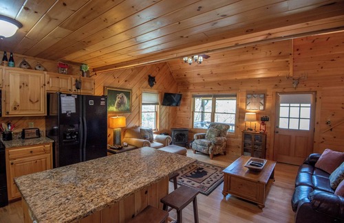 West Jefferson Cabin | The Bear Hideout Log Cabin - Mountain Views - Minutes to West Jefferson - Bumper Pool Table