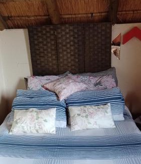 Lone Hill House | The Best Position Fourways / Monte Casino