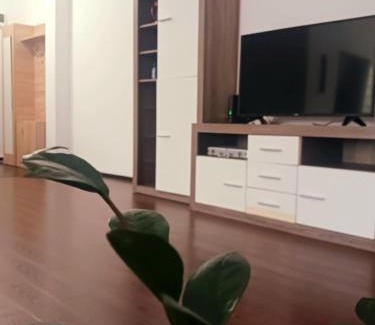 Sector 1 Apartment | The Big Apartment Bucharest