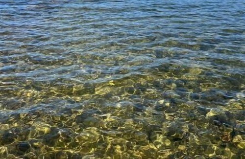 Bristol Cottage | The Birchwood Cottages on Newfound Lake B - PRIME LOCATION- across from beach!