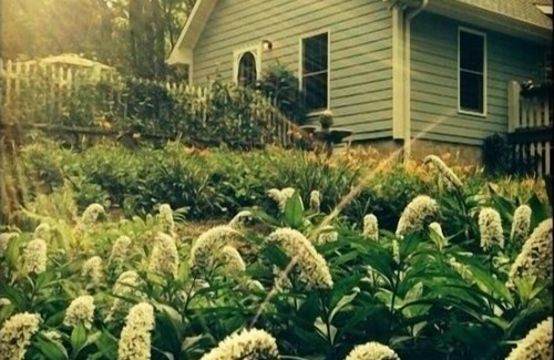 Trenton Cottage | The Blue Cottage located in the woods on Lookout Mountain in Rising Fawn GA
