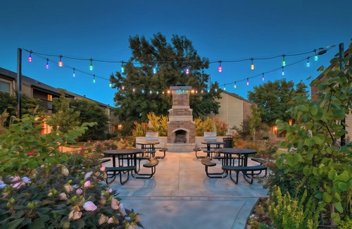 Norman Apartment | The Boomer | Oasis Pool | Gym | Dog Friendly | OU!