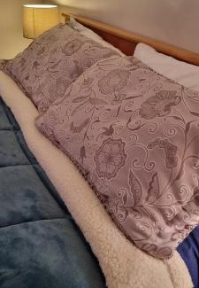 Whanganui Bed & Breakfast | The Bungalow