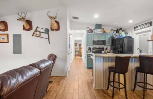 Salt Springs House | The Cabin! An Unplugged experience in the heart of the Ocala National Forest