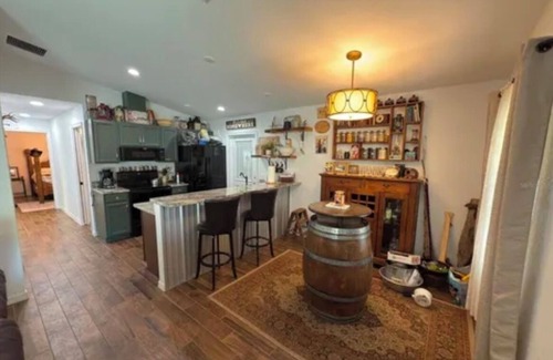 Salt Springs House | The Cabin! An Unplugged experience in the heart of the Ocala National Forest