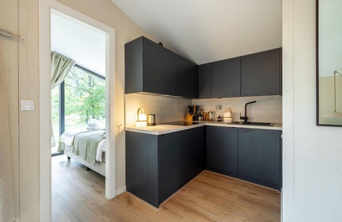 Wilsum Cabin | The Cabin on the Hill is situated among the birch trees on a hill with unobstructed views on all sides.