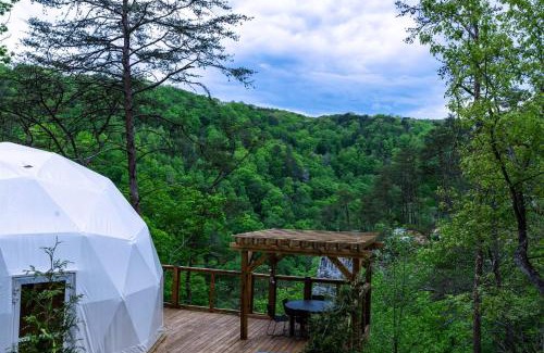 Pikeville Other | The Canyon at Pond Creek