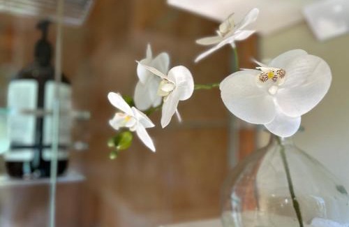 Arthur's Point Bed & Breakfast | The Canyons B&B