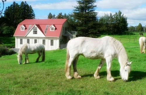 Kerikeri House | The Carriage House, Bay of Islands