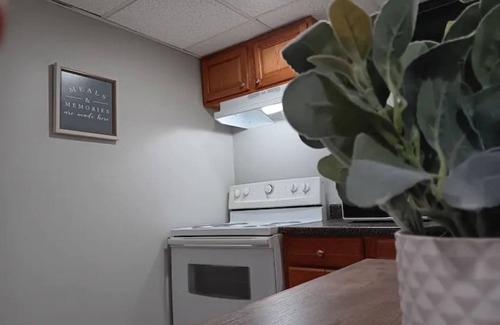Silver Lake Apartment | The Cellar-Suite at Silver LakeNEW 1-Bed APT