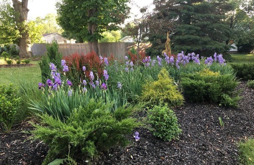 Manistee Bed & Breakfast | The Chandelier Bed & Breakfast "Rose Room"