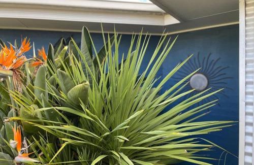 Lake Conjola House | The Coastal Haven