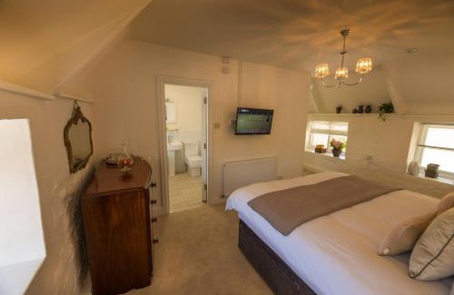 Totnes Hotel | The Cott Inn