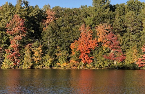 Mecosta House | The Cottage at Restmore