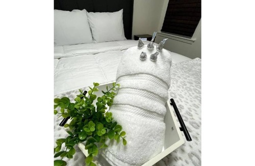 Del Mar House | The COZY Casita--RELAX & UNWIND