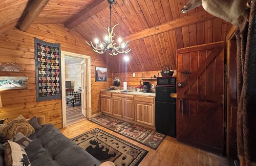 Cosby Cabin | The Dapper Duck log cabin! Charming 1-bedroom in The Forest!