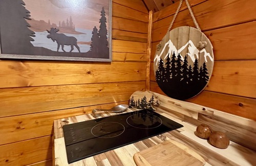 Cosby Cabin | The Dapper Duck log cabin! Charming 1-bedroom in The Forest!