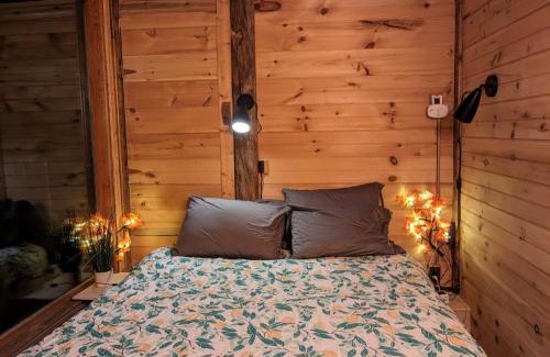 Catskill Other | The Dome house near Hunter and Hudson